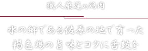 main_copy