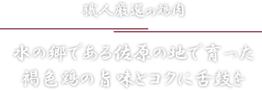 職人厳選の鶏肉水の郷である佐原の地で育った褐色鶏の旨味とコクに舌鼓を